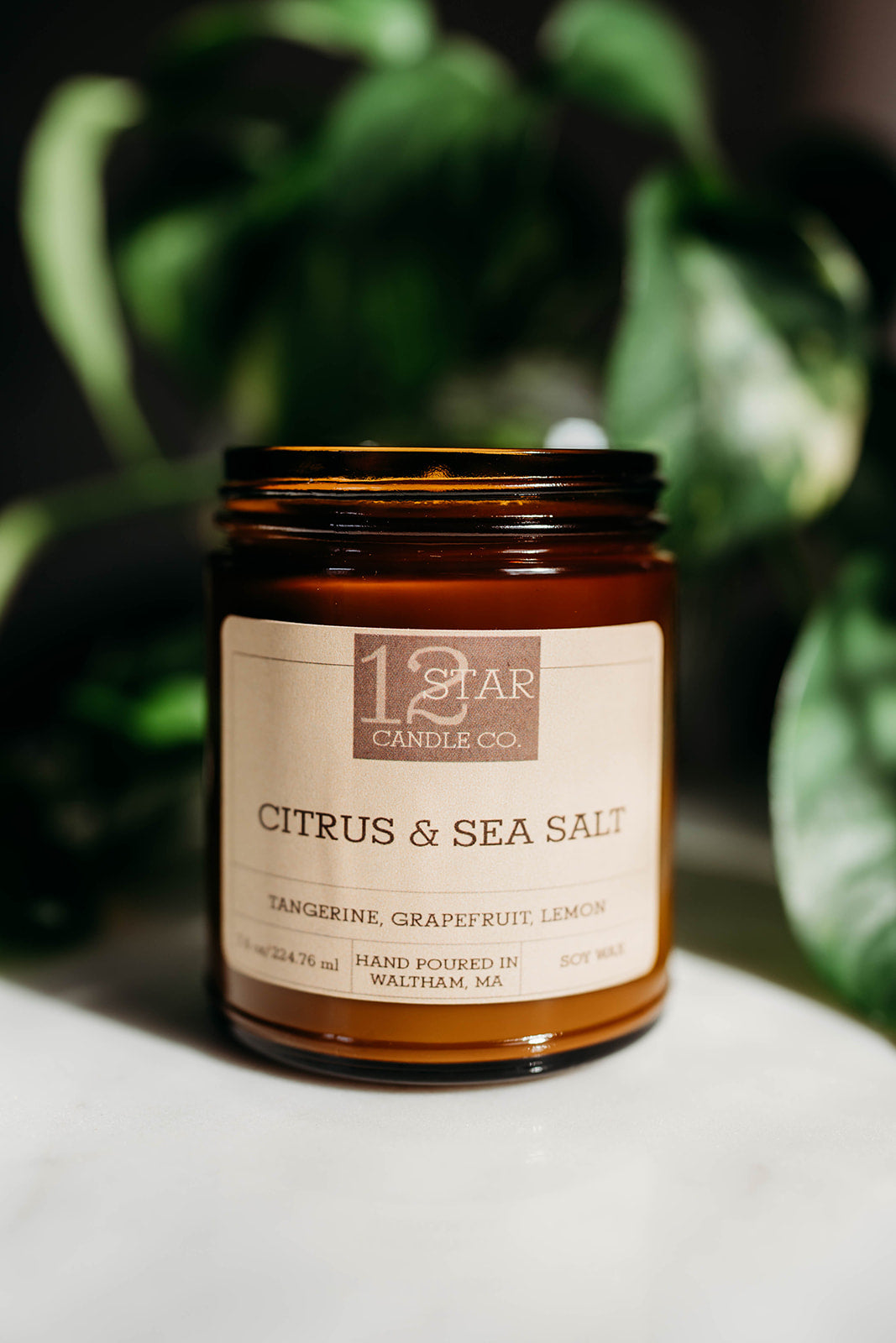 Citrus and Sea Salt